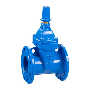 Stem Cap Non Resurgens Stem Gate Valves